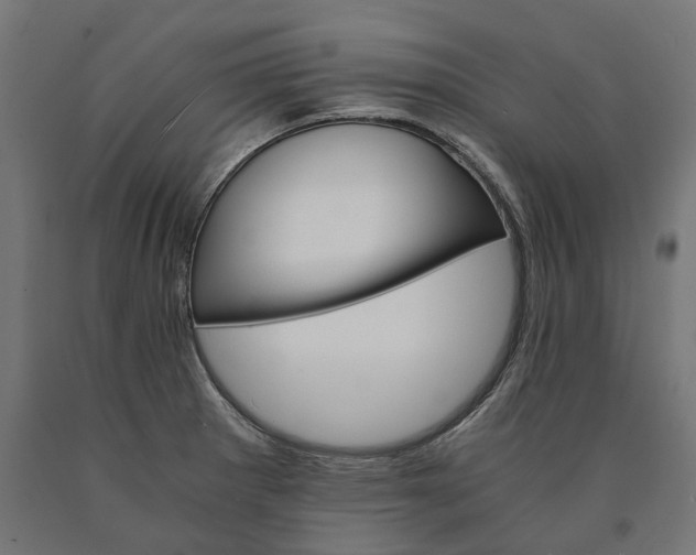 X0000090741281200708031538