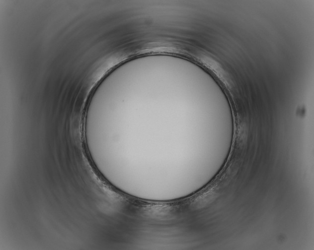 X0000090741282200708031538