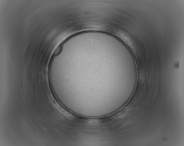 X0000090741283200708031538