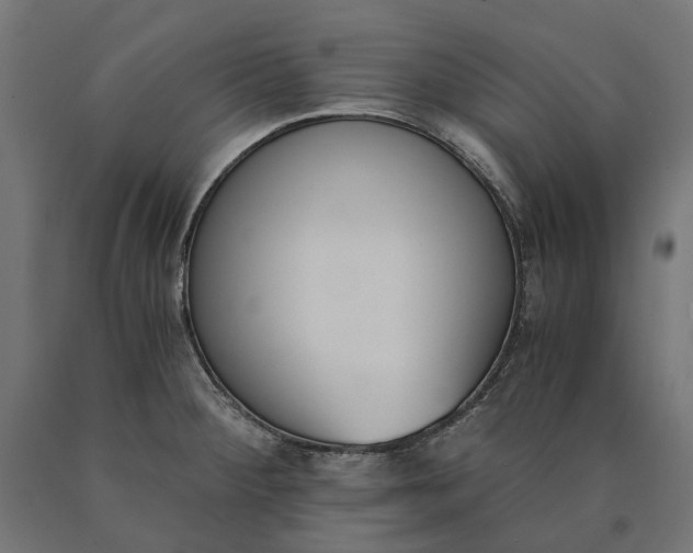 X0000090741284200708031538