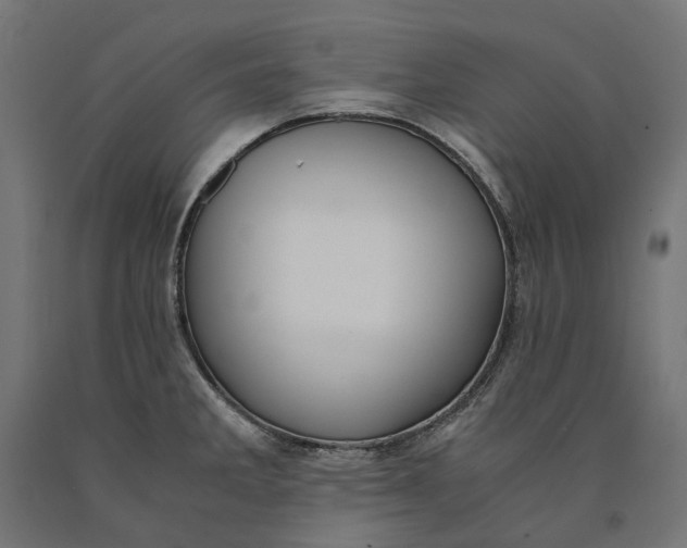 X0000090741285200708031538