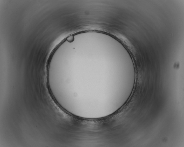 X0000090741286200708031538