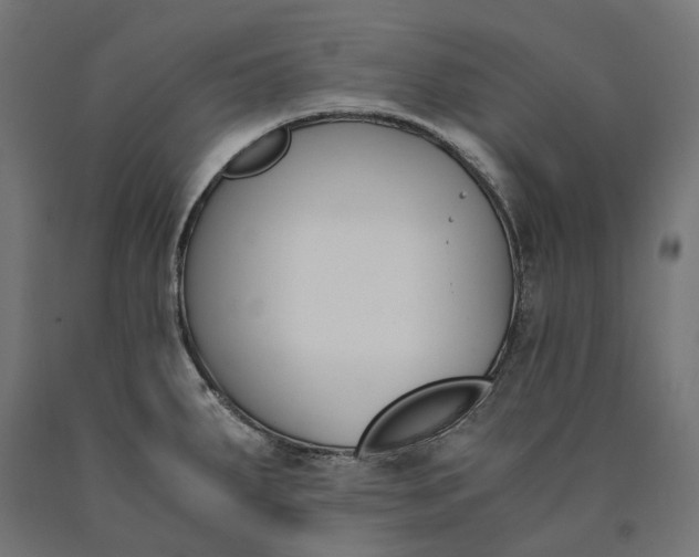 X0000090741287200708031538