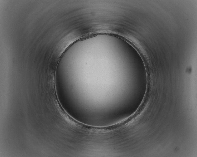 X0000090741289200708031538