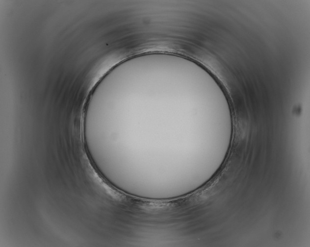 X0000090741290200708031538