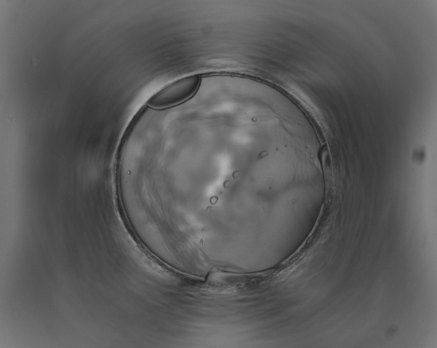 X0000090741291200708031538