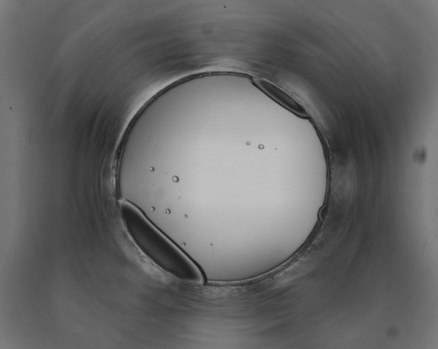 X0000090741292200708031538