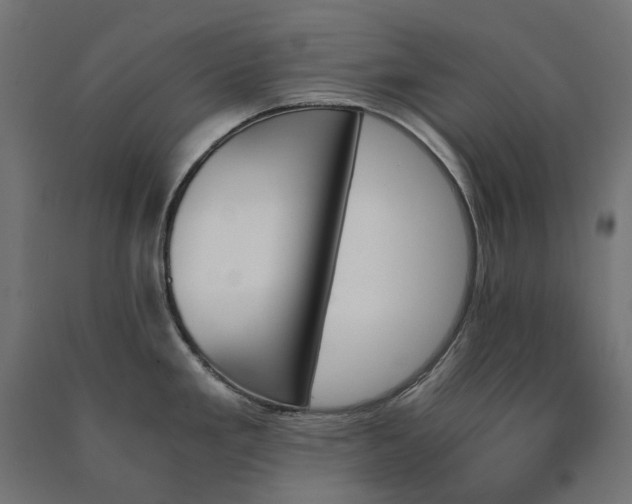 X0000090741293200708031538