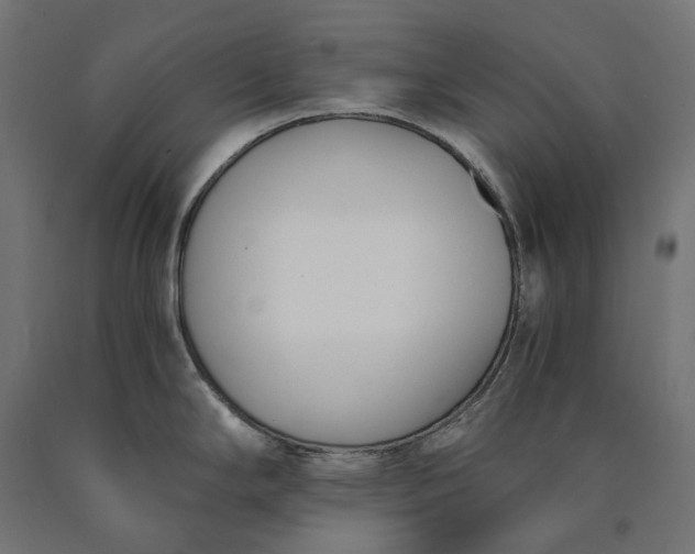 X0000090741294200708031538