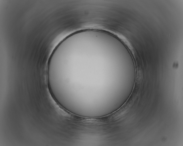 X0000090741295200708031538