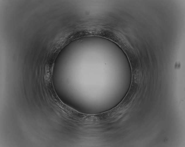 X0000090741298200708031537