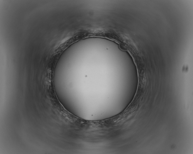 X0000090741301200708031537