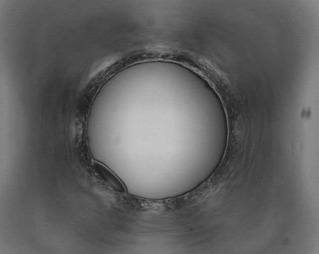 X0000090741302200708031537