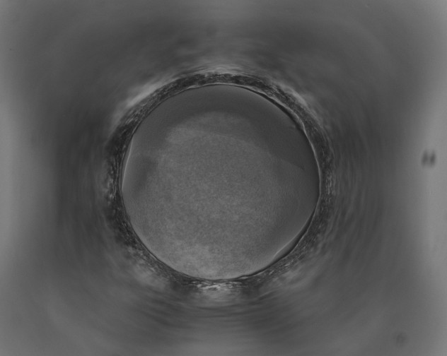 X0000090741303200708031537