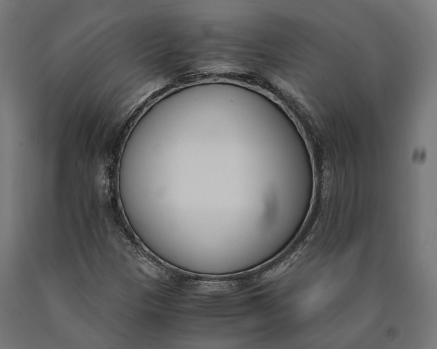 X0000090741305200708031537