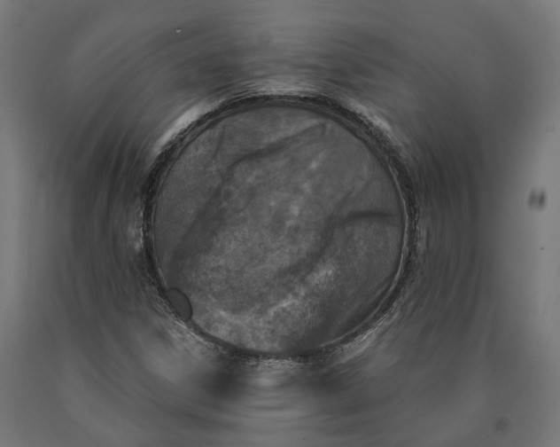 X0000090741306200708031537