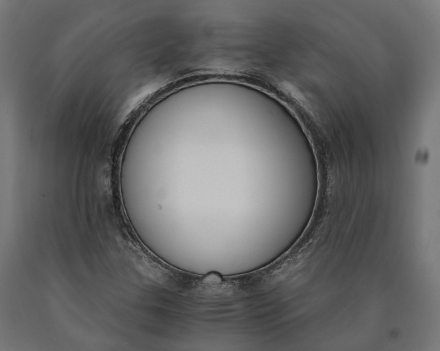 X0000090741307200708031537