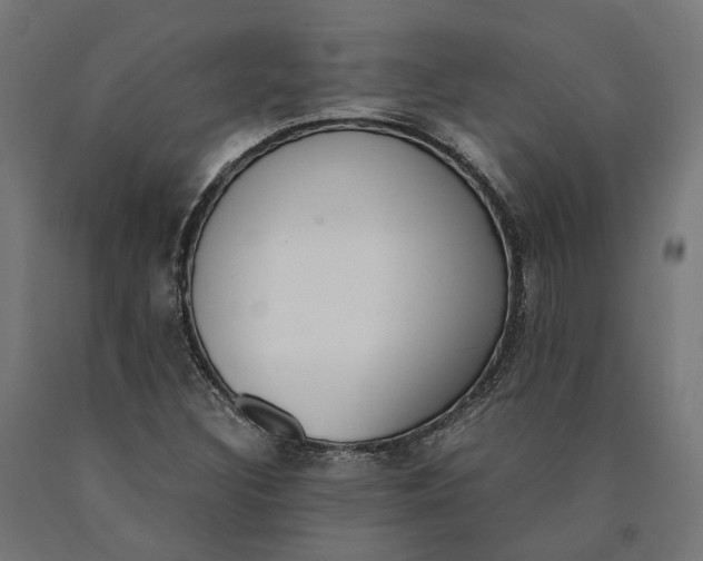 X0000090741308200708031537