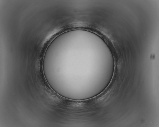 X0000090741309200708031537