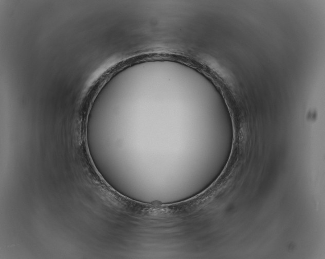 X0000090741310200708031537