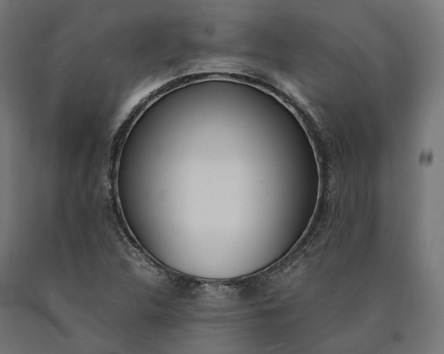 X0000090741312200708031537