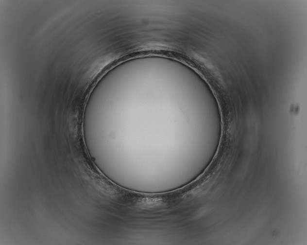 X0000090741313200708031537