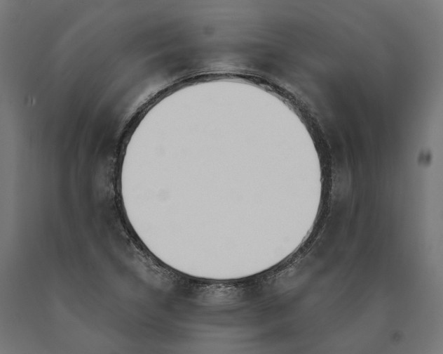 X0000090741314200708031537