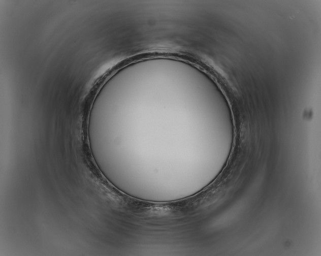 X0000090741315200708031537