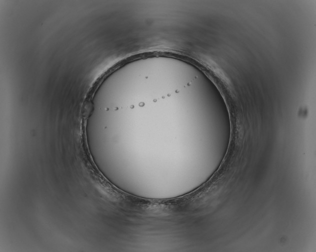 X0000090741316200708031537