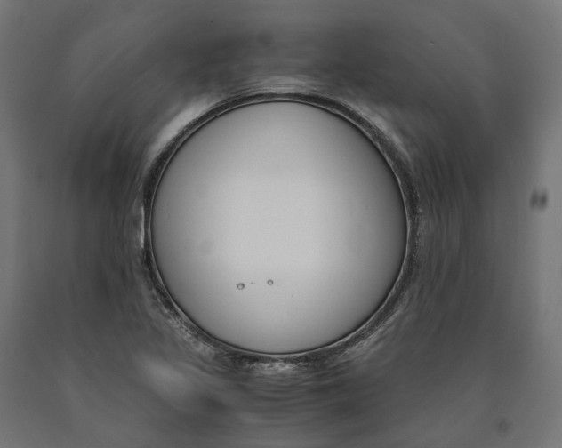 X0000090741317200708031537