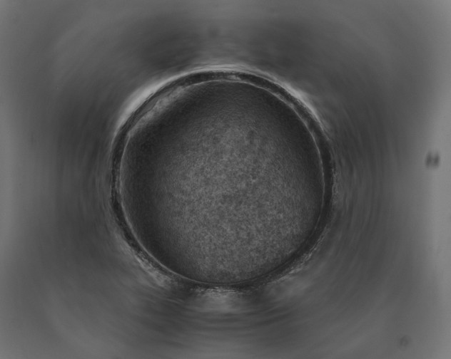 X0000090741319200708031537