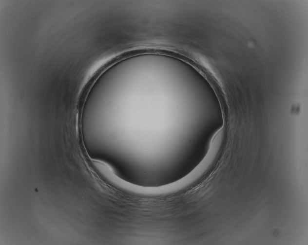 X0000090741320200708031537