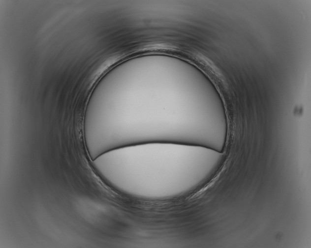 X0000090741321200708031537