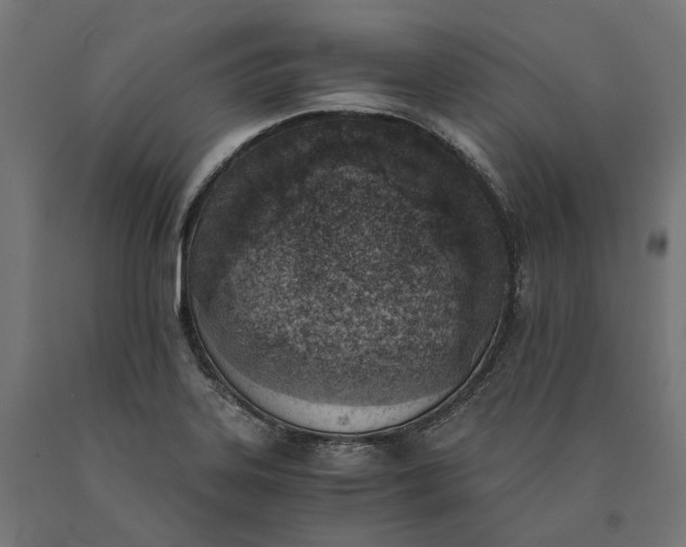 X0000090741323200708031537