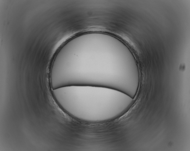 X0000090741325200708031537