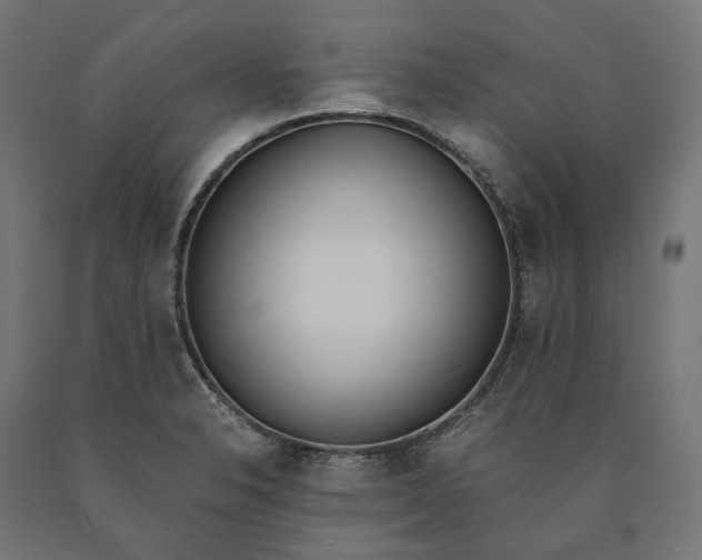 X0000090741326200708031537