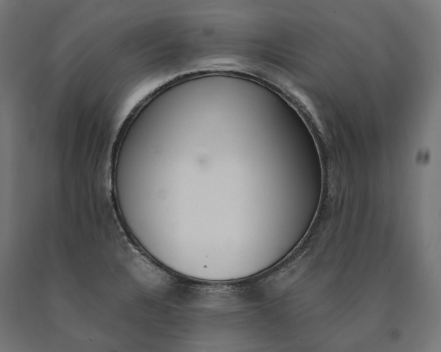 X0000090741328200708031537