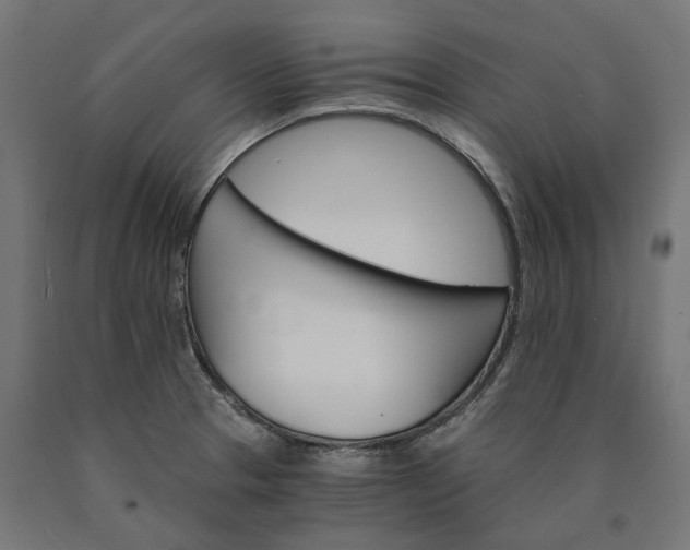 X0000090741329200708031537