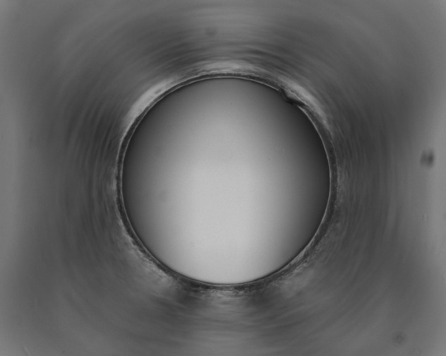 X0000090741330200708031537