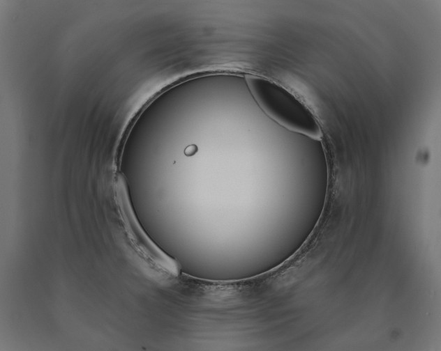 X0000090741332200708031537