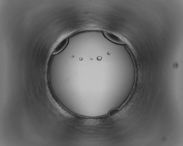 X0000090741333200708031537