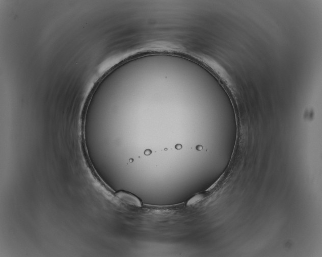 X0000090741335200708031537