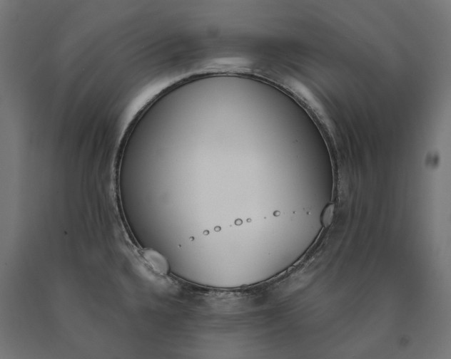 X0000090741336200708031537