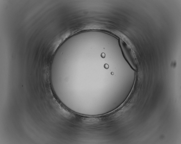 X0000090741337200708031537