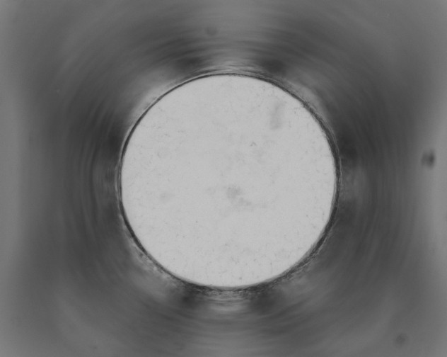 X0000090741338200708031537