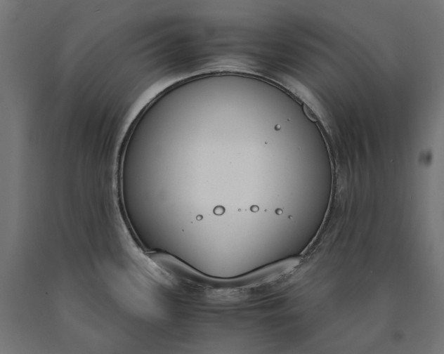 X0000090741339200708031537