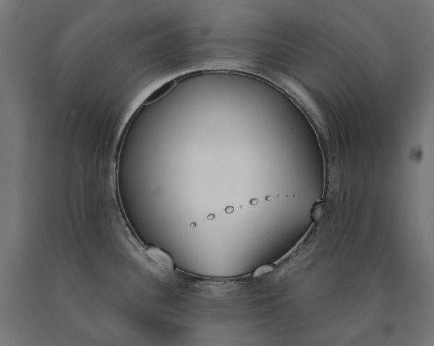 X0000090741340200708031537