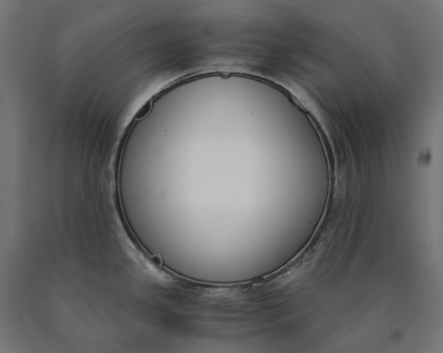 X0000090741341200708031537