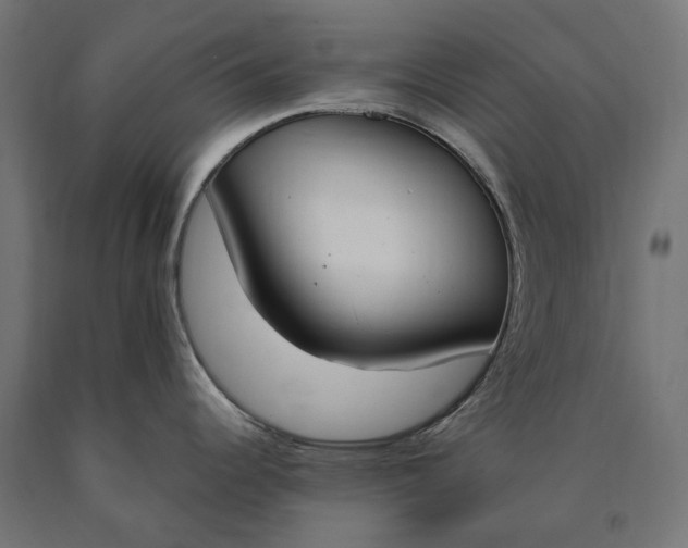 X0000090741344200708031537