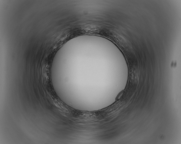 X0000090741346200708031537